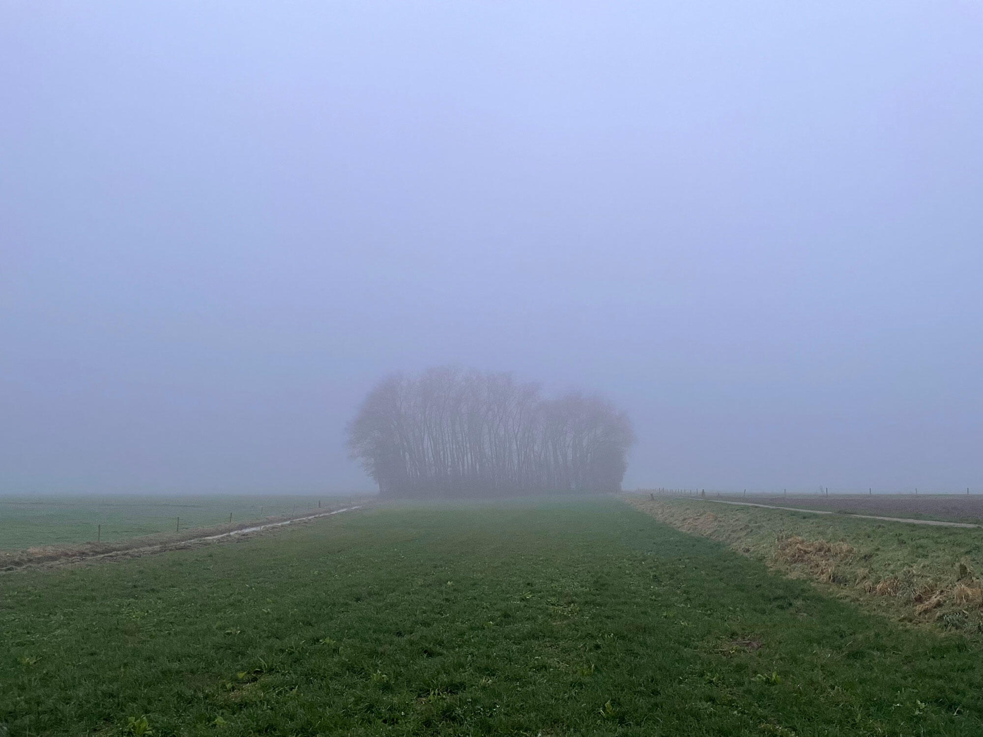 Bosje van Bannink